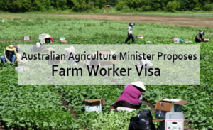 Experience A Farm Worker Job In Australia 2022