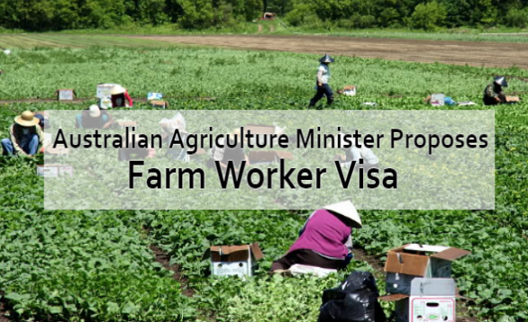 Experience A Farm Worker Job In Australia 2022 Today Govt Job News